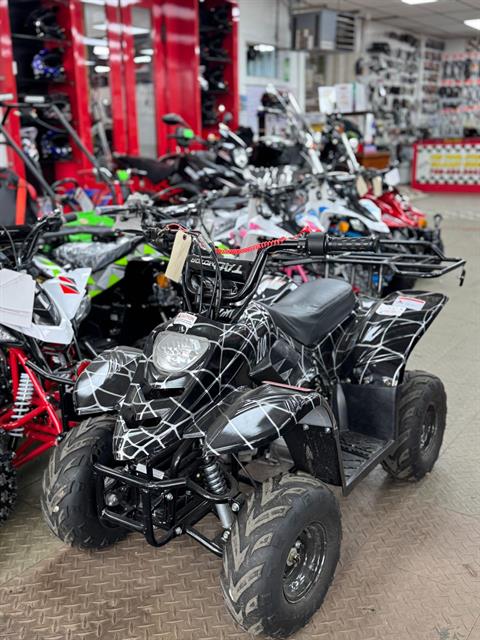 2020 Tao Tao B110 in Forest View, Illinois - Photo 2