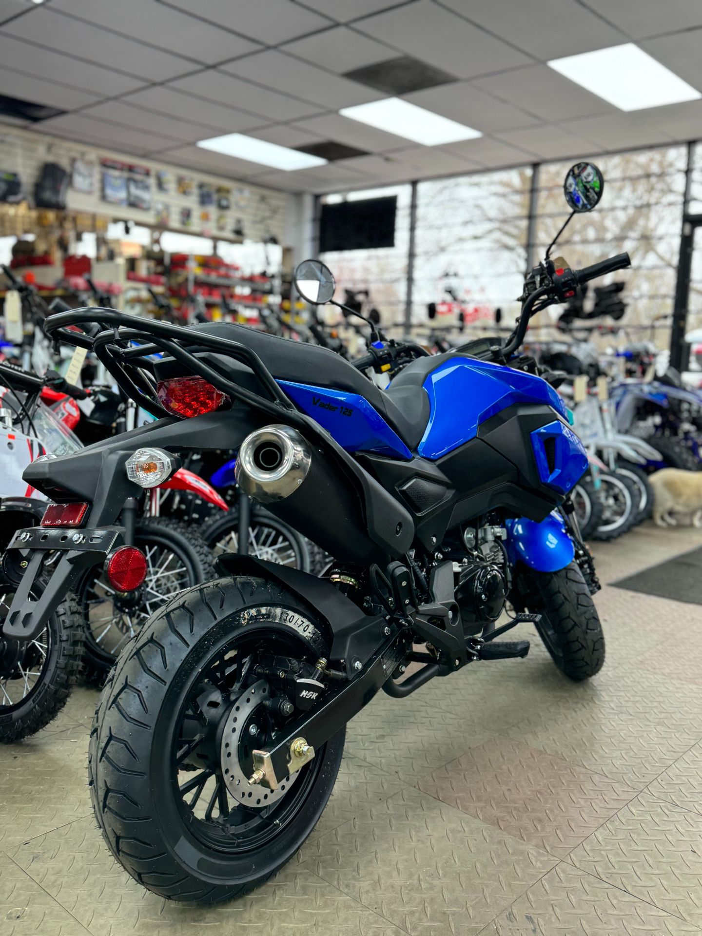 2023 Baodiao Vader 125cc in Forest View, Illinois - Photo 10