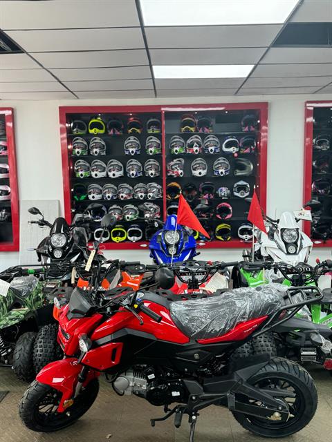 2023 Baodiao Vader 125cc in Forest View, Illinois - Photo 12