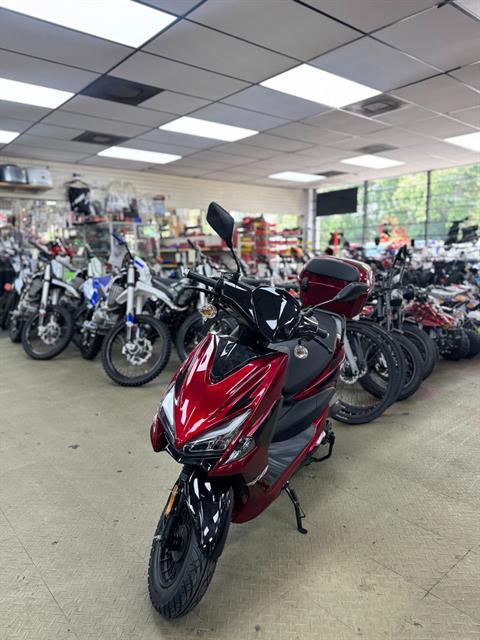 Shop all new and used inventory at Tool Store Go-Kart Shop