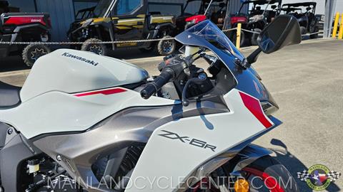 ペナントレース Ninja ZX-6R レース用ベース車 | WEB Mr.BIKE