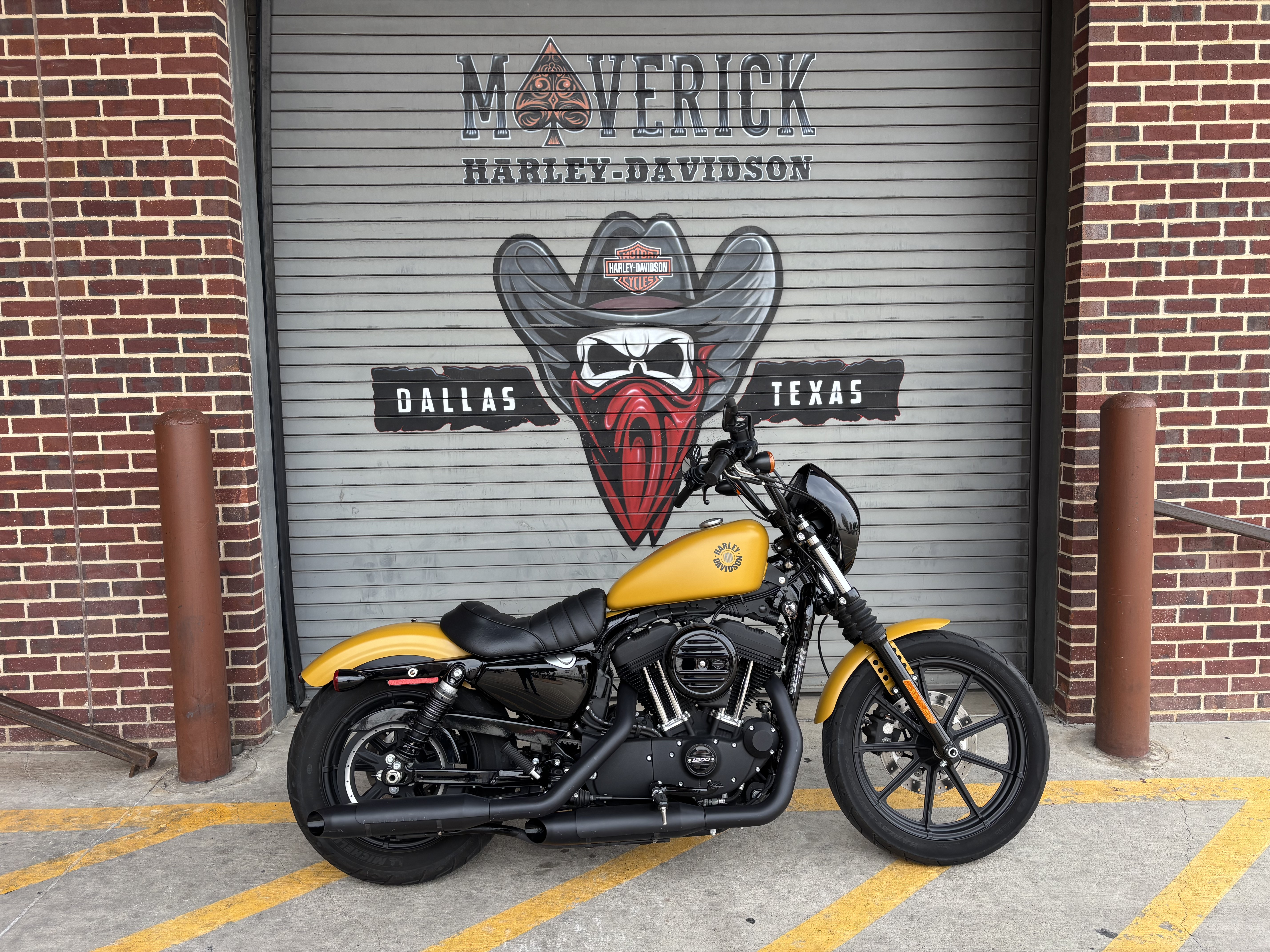 Used 2019 Harley-Davidson Iron 1200™ Yellow | Motorcycles in Grand 
