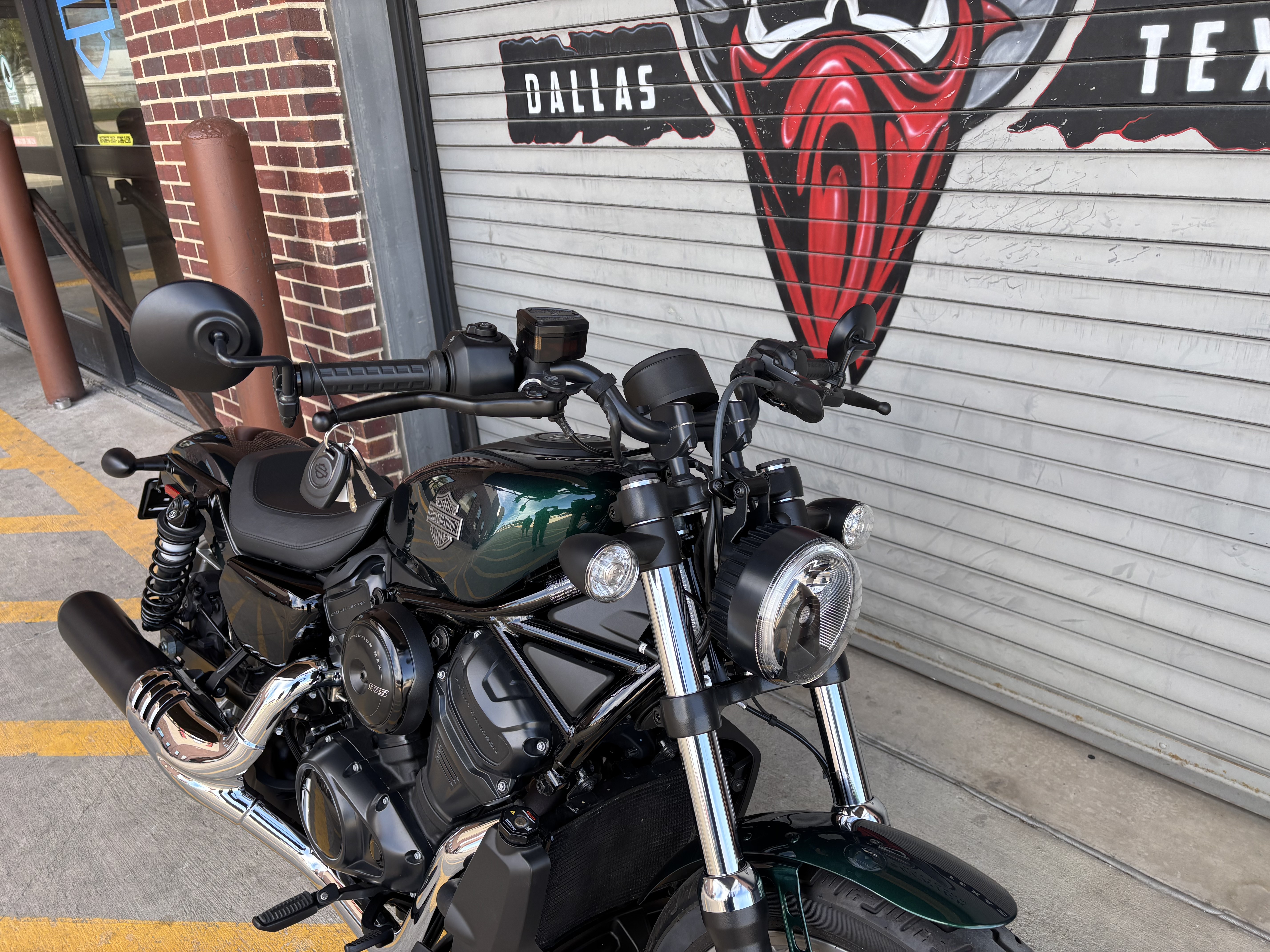 年末年始セール！FLATHEAD DV-03W40 ベスト GLORY PARK Used 2025 Harley-Davidson Nightster® Snake Venom | Motorcycles in