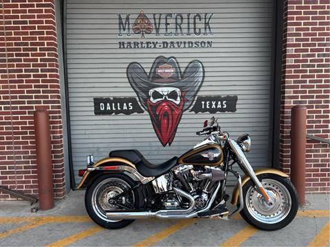 Used 2017 Harley-Davidson Fat Boy® Black Hills Gold / Black Quartz