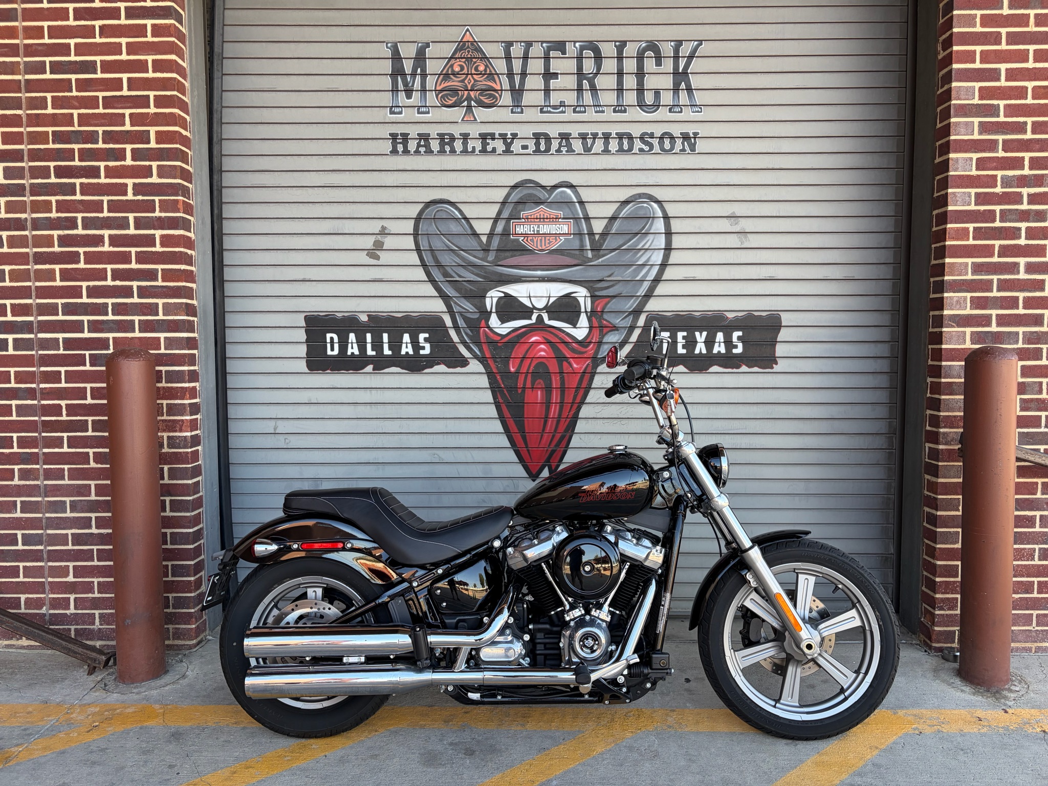 Certified Pre-Owned 2024 Harley-Davidson Softail® Standard Vivid