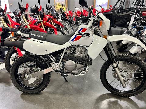 2024 Honda XR650L in Mentor, Ohio - Photo 1