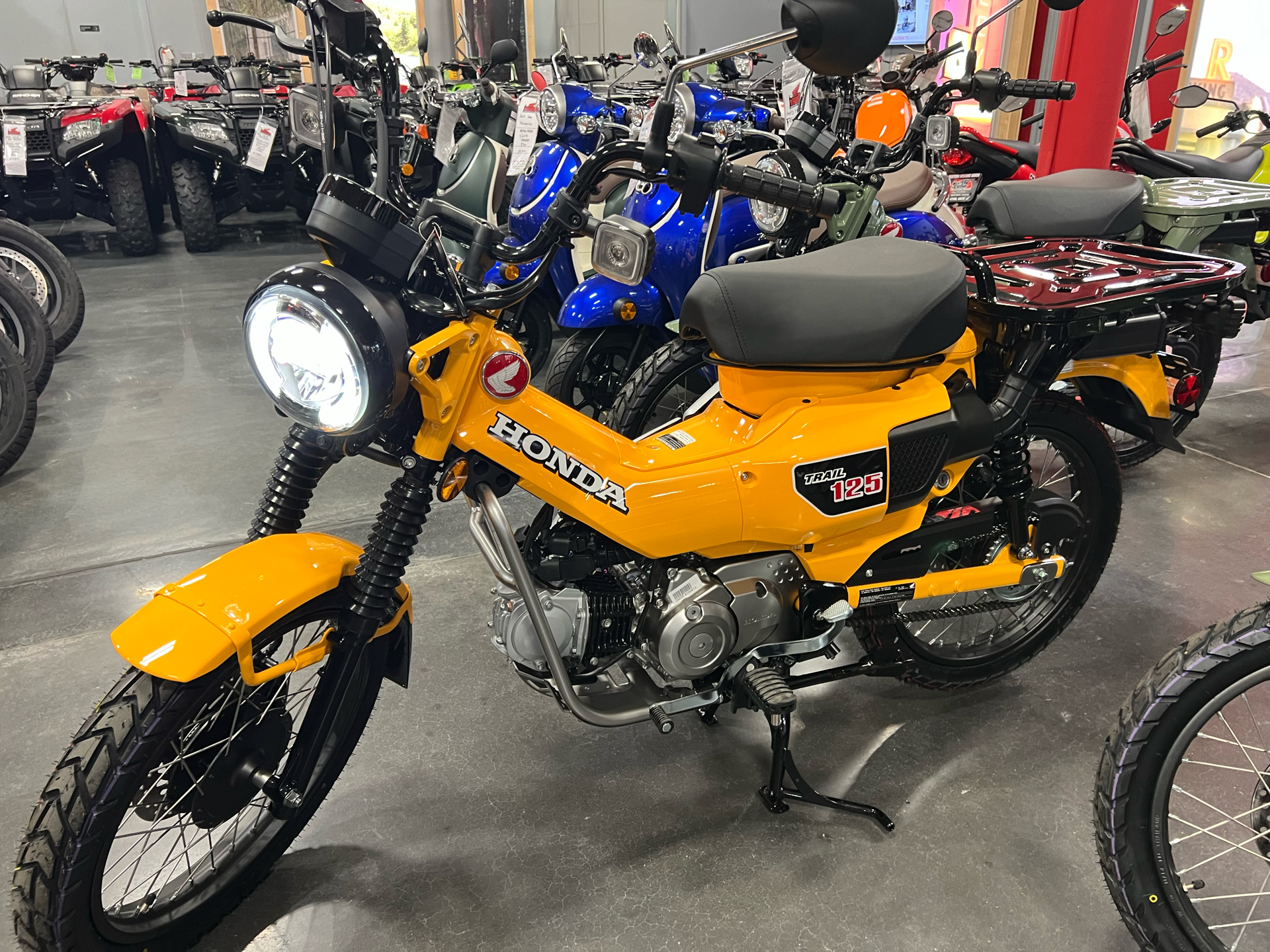2024 Honda Trail125 in Mentor, Ohio - Photo 3