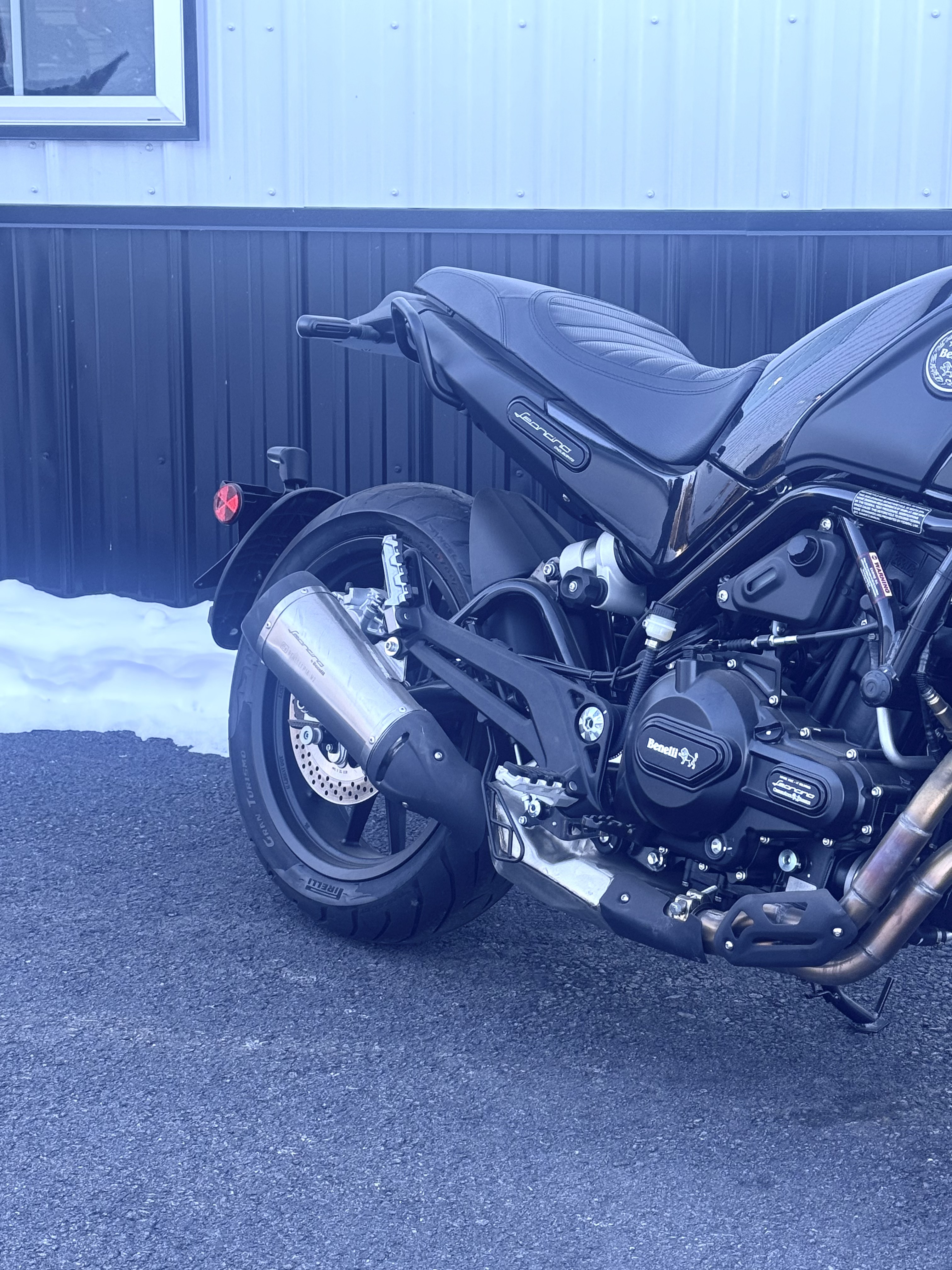 New 2022 Benelli Leoncino Motorcycles in Forty Fort, PA | Stock