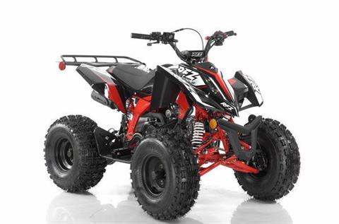 New Inventory For Sale | CC's Powersports in Forty Fort, PA.