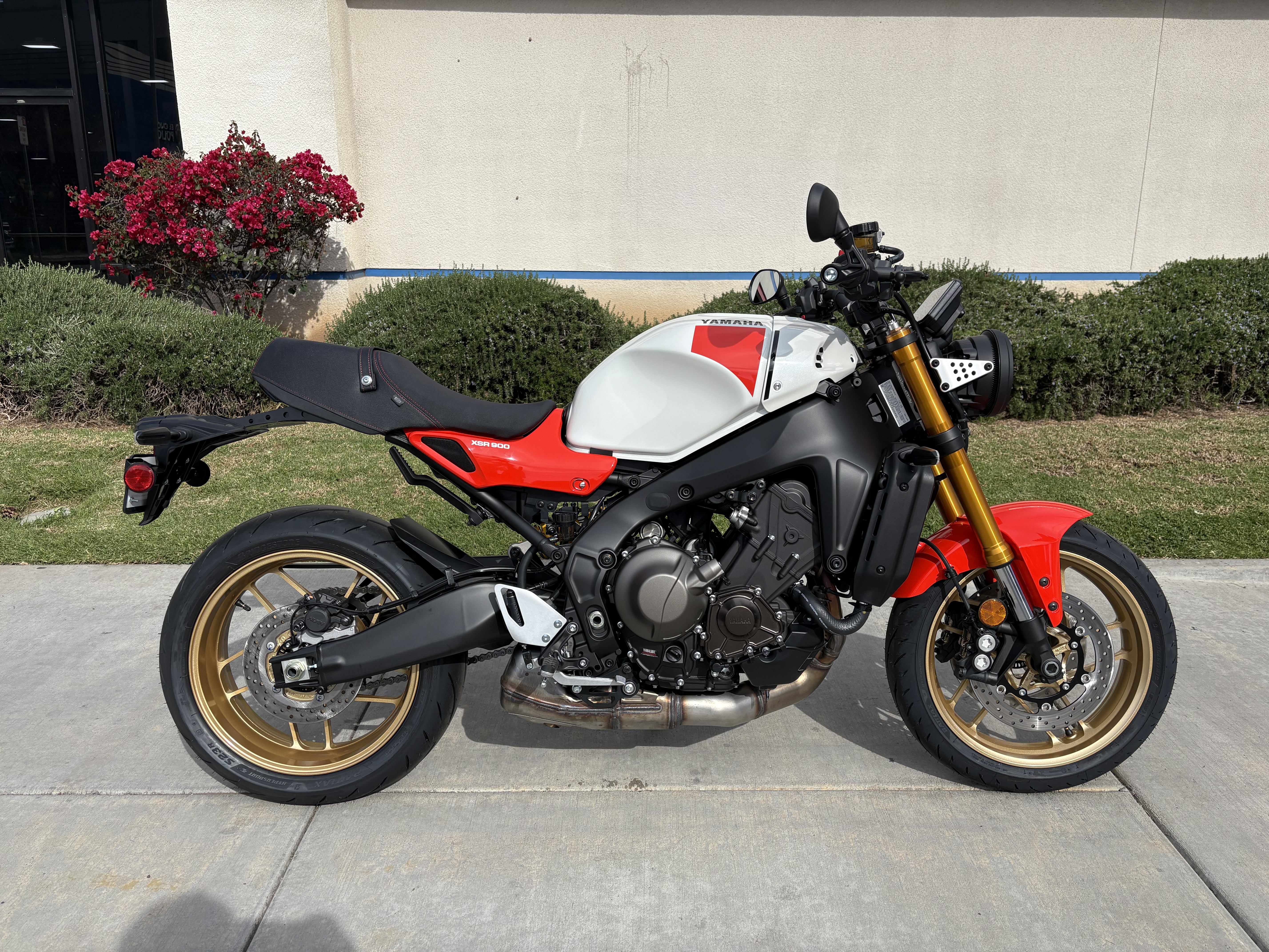 2026 Yamaha XSR900 for sale 1044267