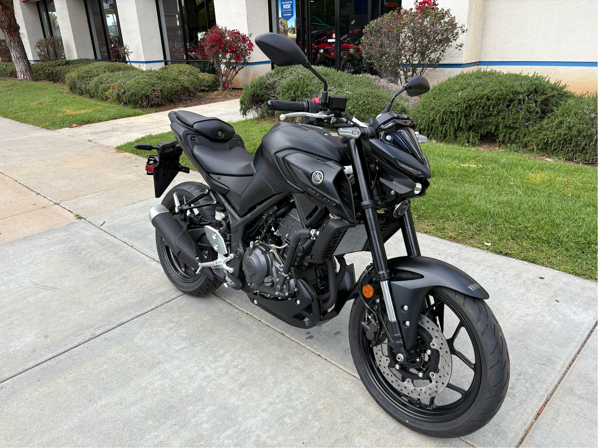 New 2025 Yamaha MT-03 | Motorcycles in EL Cajon CA | 001046 Matte