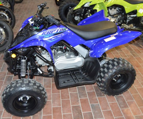 2026 Yamaha Raptor 110