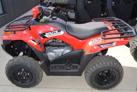 2026 Kawasaki Brute Force 300