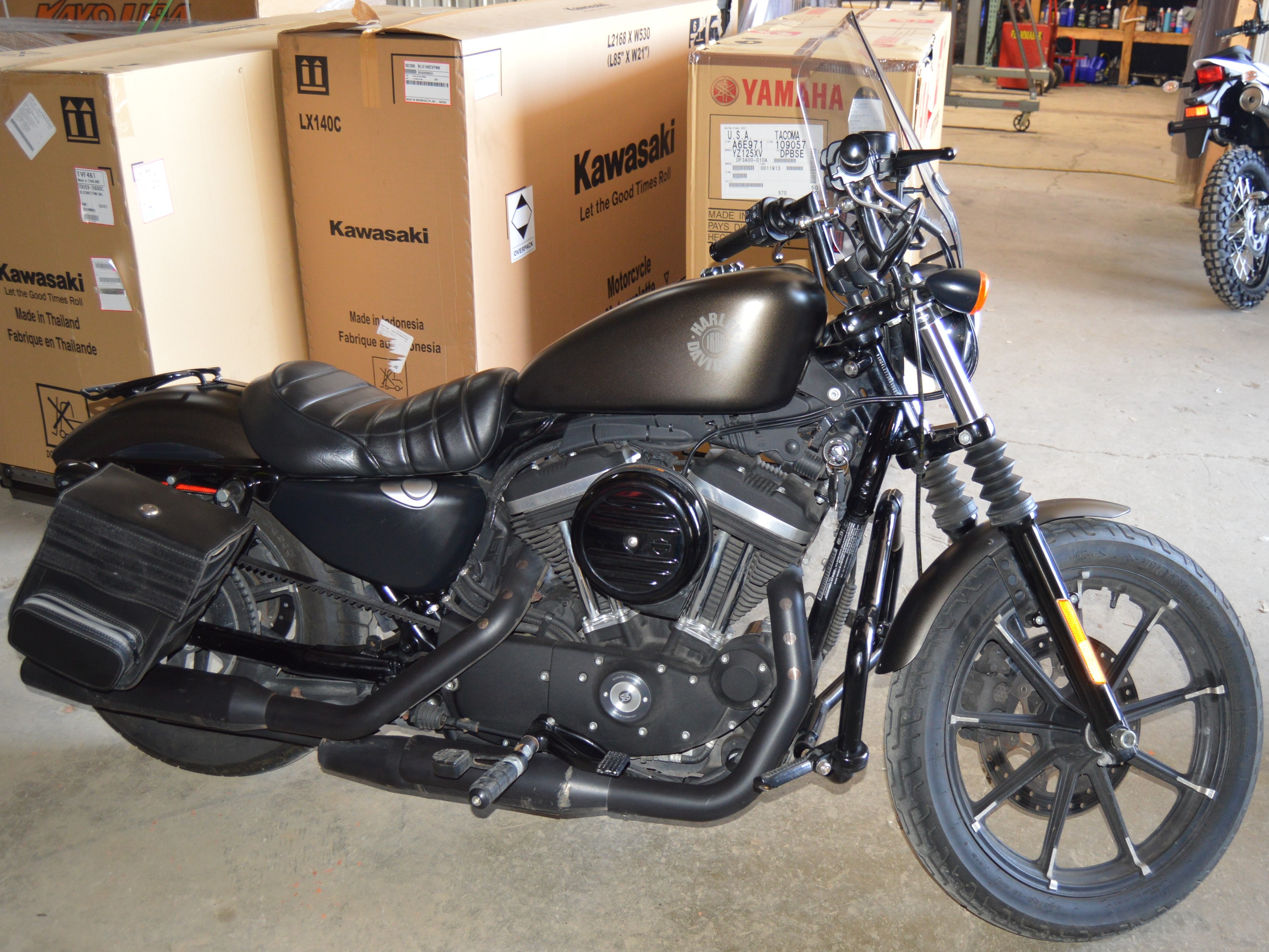 2021 Harley-Davidson Iron 883 for sale 1244001