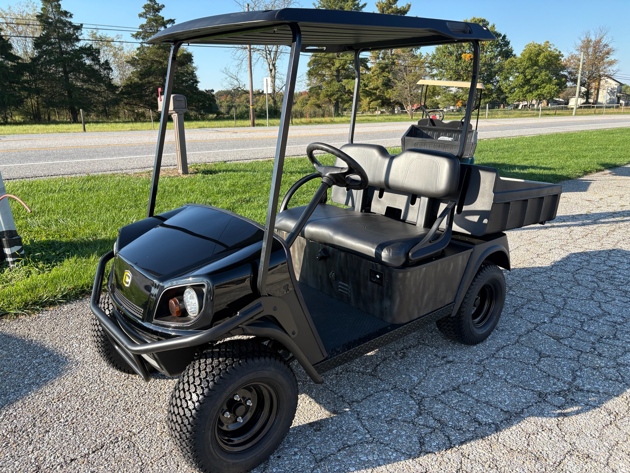 2010 EZGO MPT