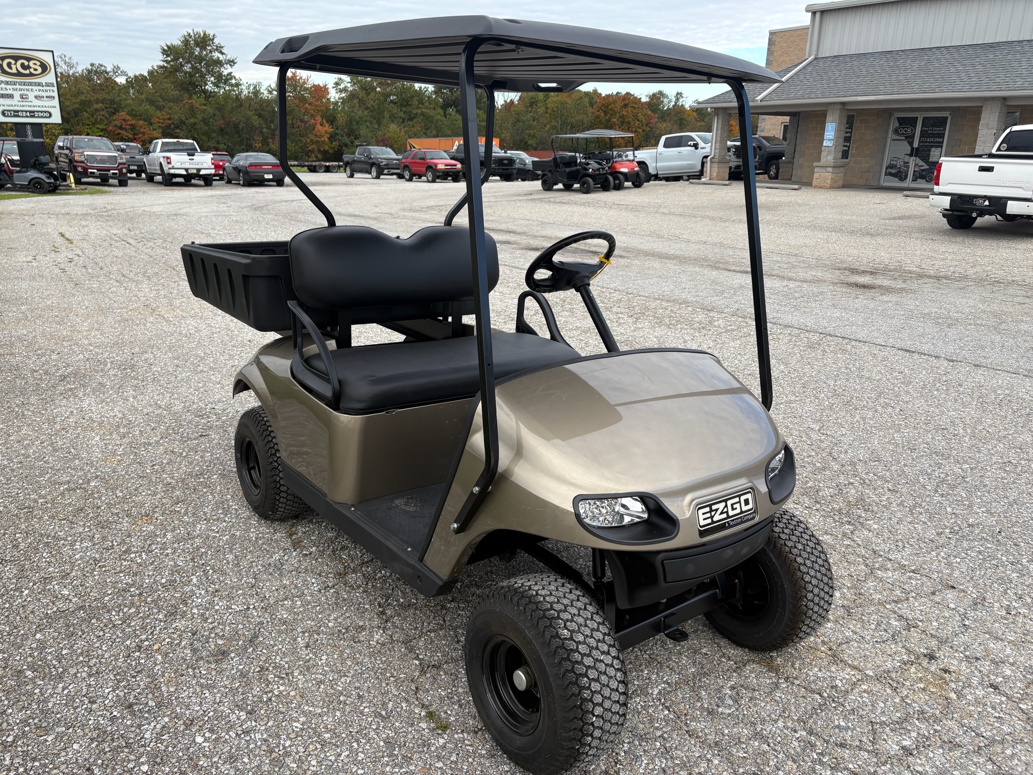 2011 EZGO TXT