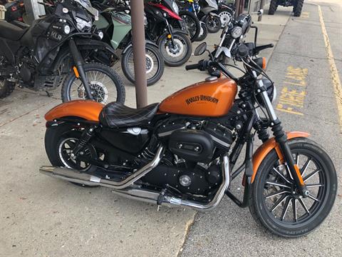 2014 HARLEY DAVISON XL883 SPORTSTER in Columbus, Ohio