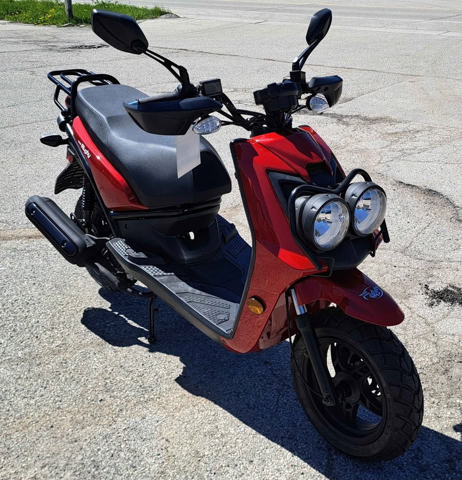 New 2024 Wolf Brand Scooters Wolf Rugby Scooters in Mukwonago, WI