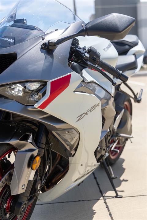 新政No.6 2024 H-TYPE 新政 No.6 H-type 2024 2024 Kawasaki ZX-6R ABS Buyer's Guide