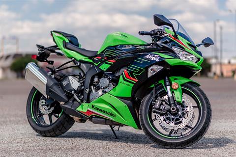 やんばるくいな 所蔵名品から19 ヤンバルクイナ｜山階鳥類研究所