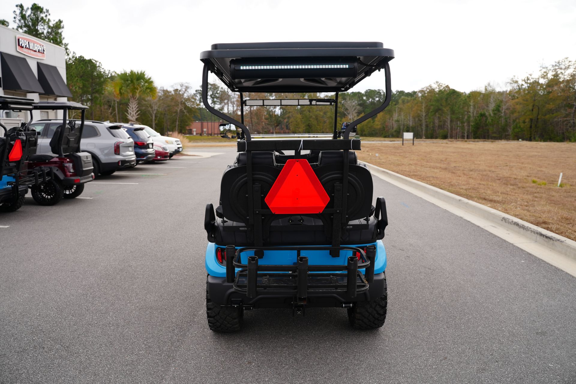 2025 Lithium Golf Cart photo 3