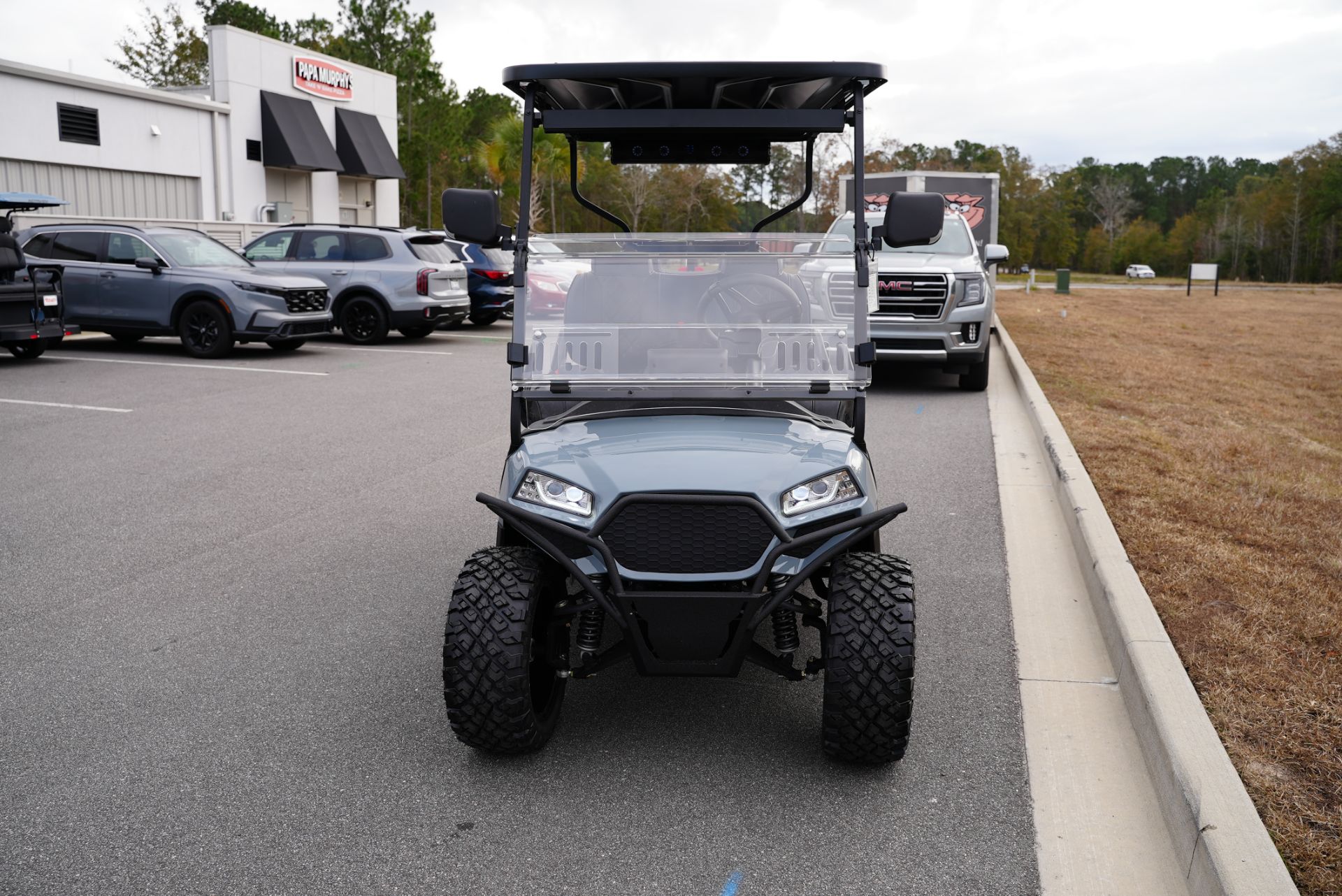2025 Lithium Golf Cart photo 5