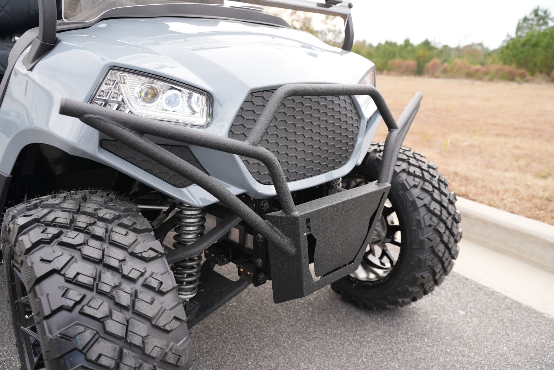 2025 Lithium Golf Cart photo 4