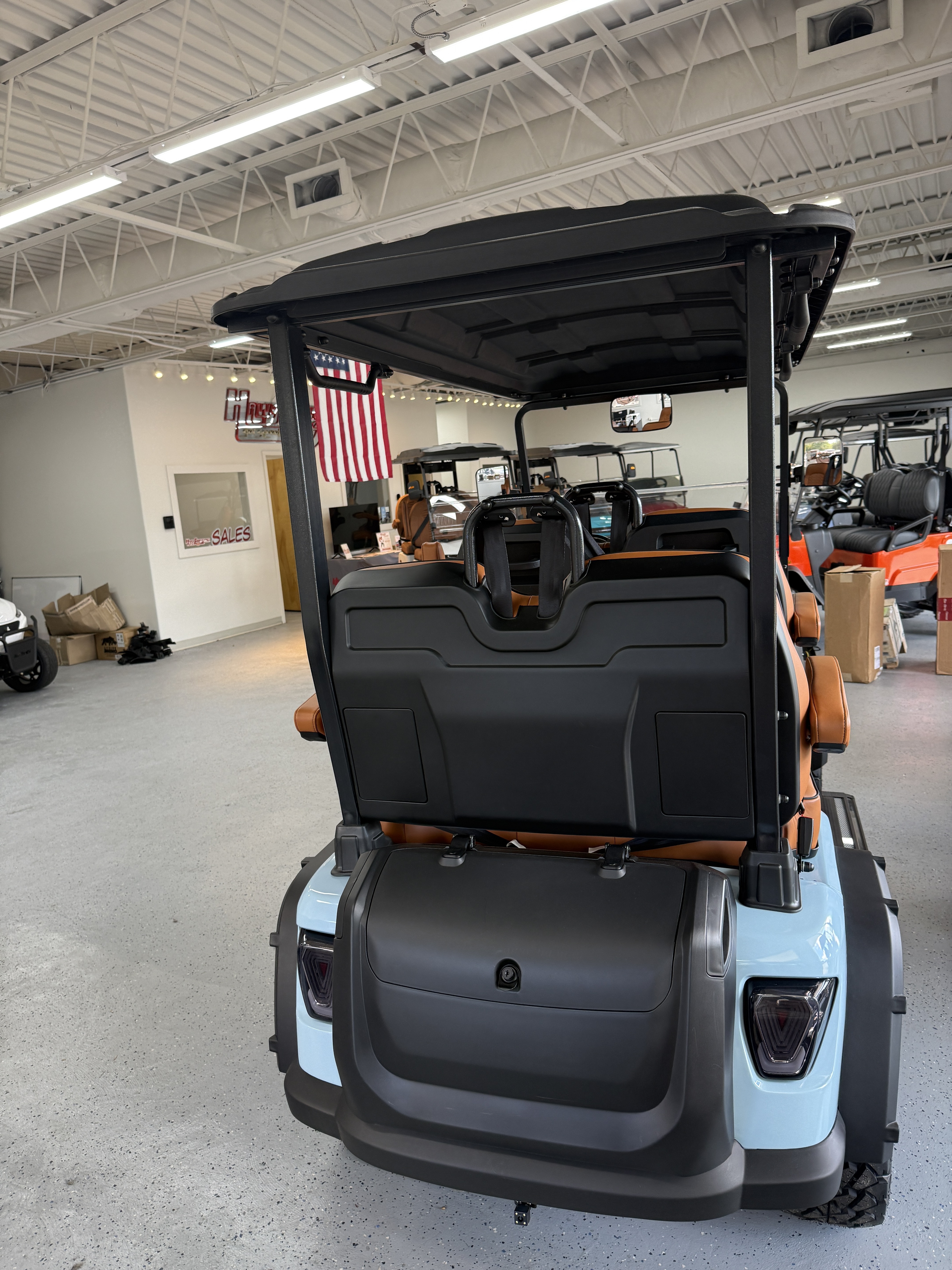 2025 4-Passenger Lithium Golf Cart photo 3
