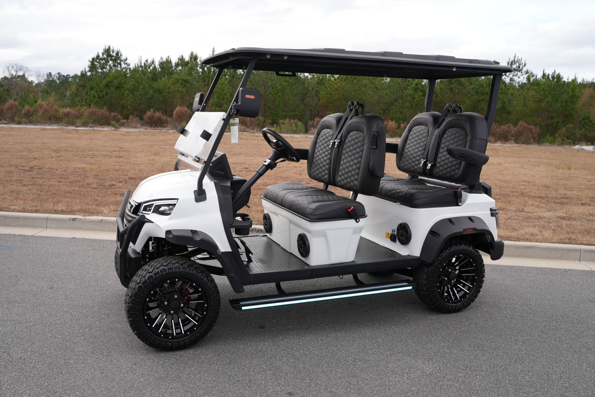 2025 Lithium Golf Cart photo 4