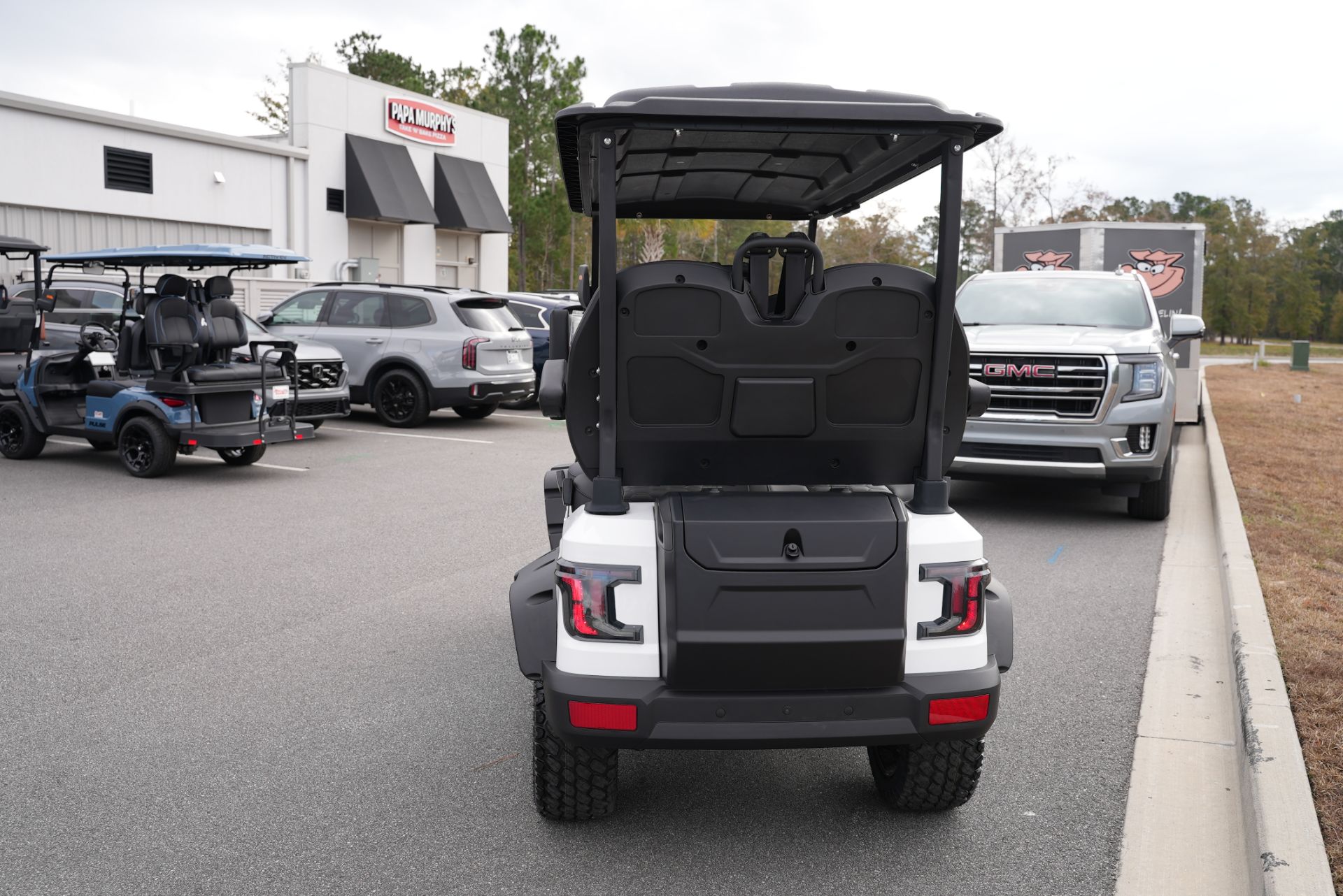 2025 Lithium Golf Cart photo 7