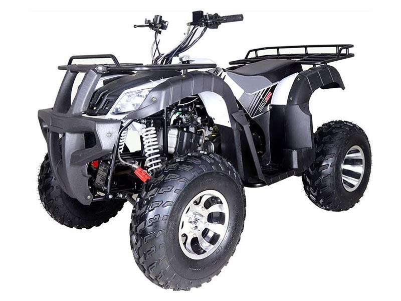 New 2024 Tao Motor Bull 200S, Columbia SC | Specs, Price