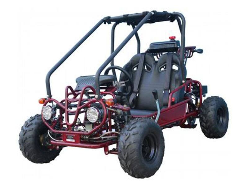 New 2025 Tao Motor GK110, Columbia SC | Specs, Price, Photos