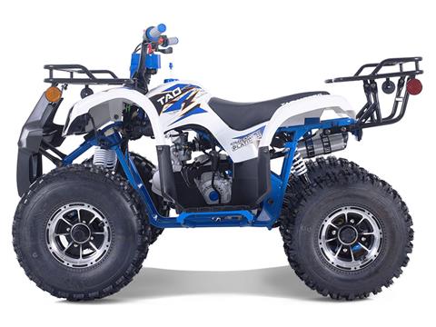 New 2024 Tao Motor TForce Platinum, Columbia SC | Specs, Price