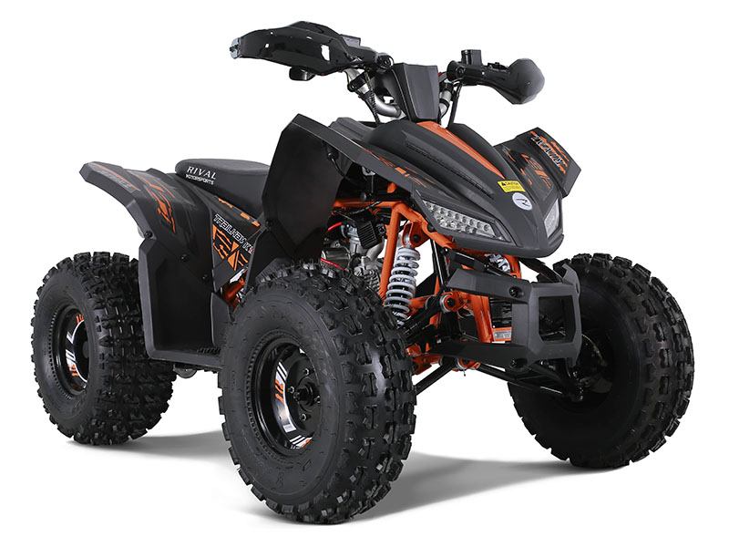 New 2025 Tao Motor Trailhawk 10, Columbia SC | Specs, Price
