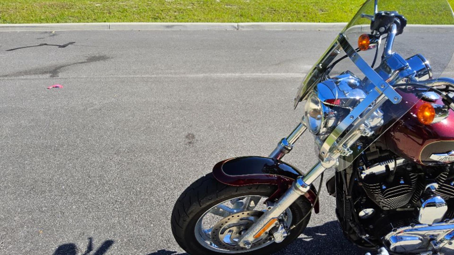 2015 Harley-Davidson 1200 Custom 7