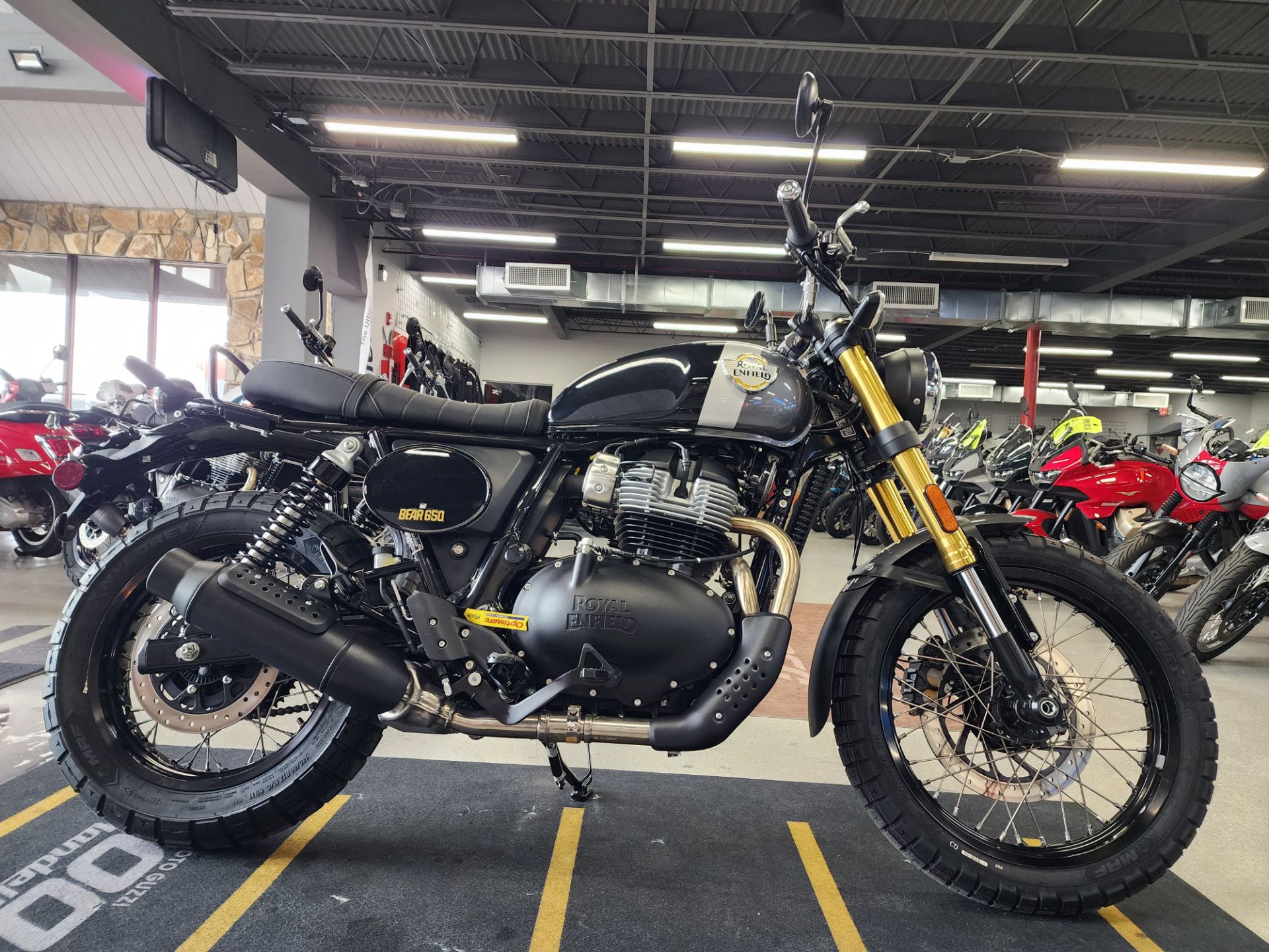 2025 Royal Enfield BEAR 650 in Fort Myers, Florida - Photo 1