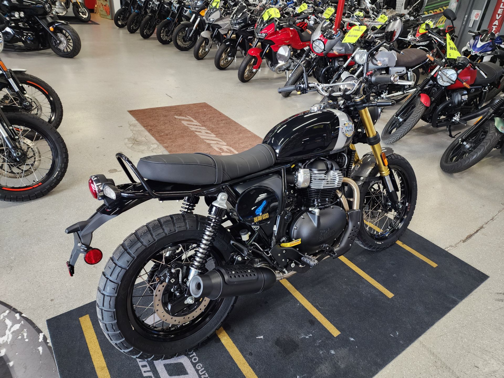 2025 Royal Enfield BEAR 650 in Fort Myers, Florida - Photo 3