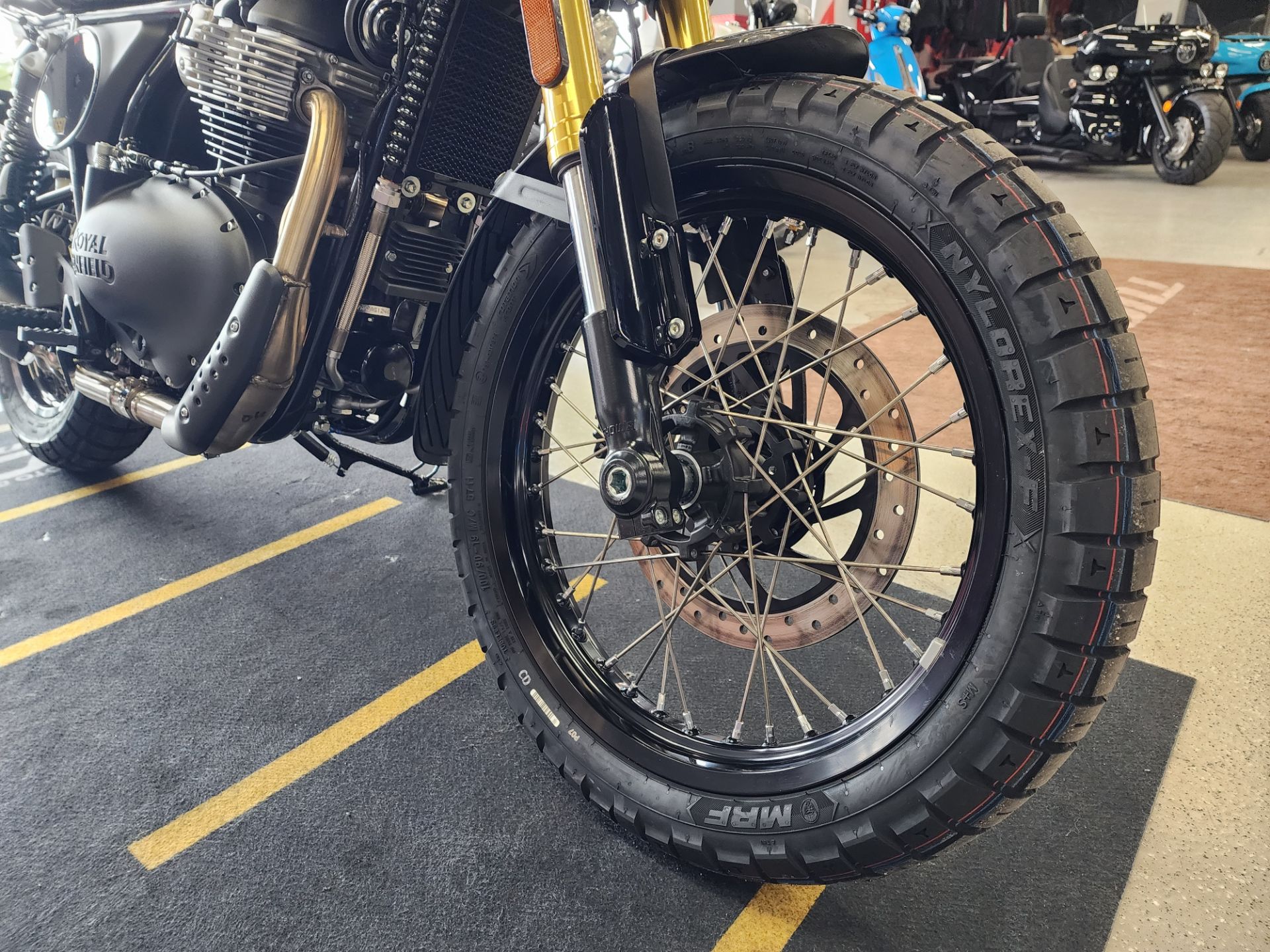 2025 Royal Enfield BEAR 650 in Fort Myers, Florida - Photo 5