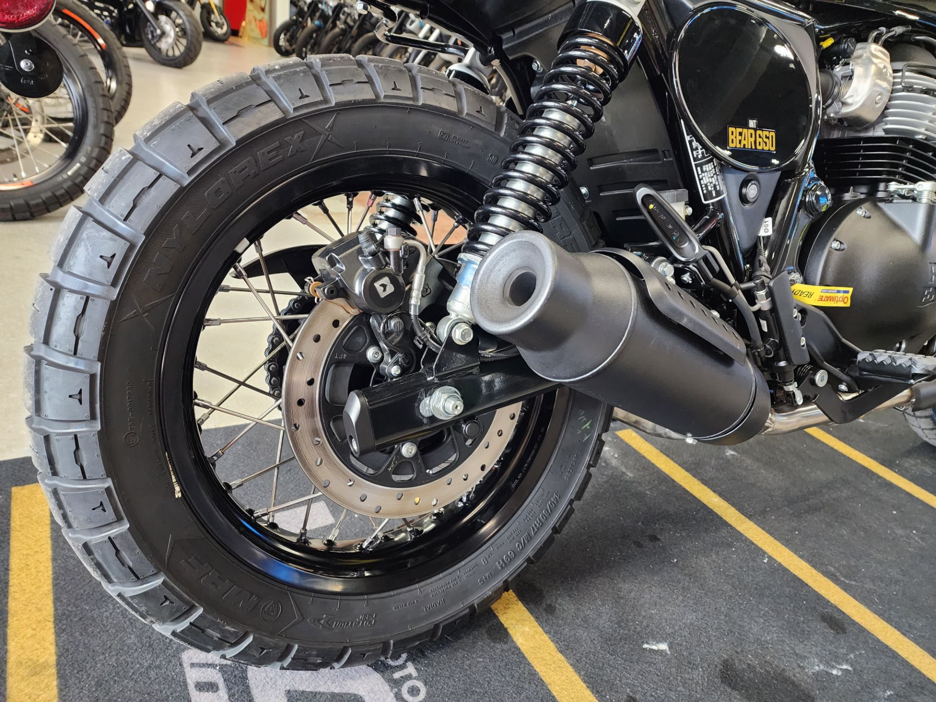 2025 Royal Enfield BEAR 650 in Fort Myers, Florida - Photo 7