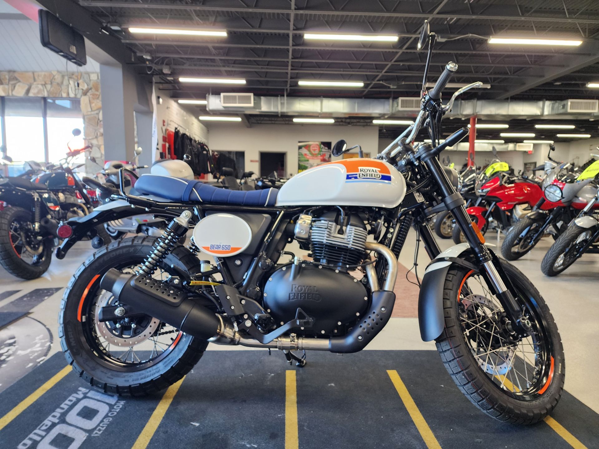 2025 Royal Enfield BEAR 650 in Fort Myers, Florida - Photo 1