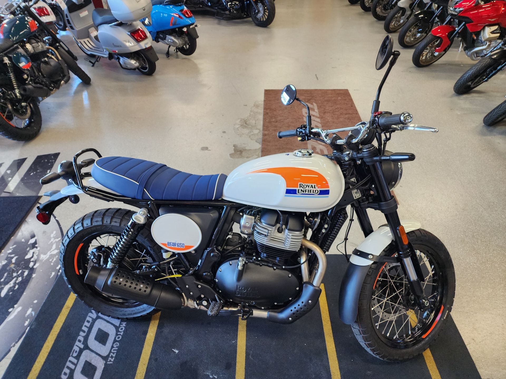 2025 Royal Enfield BEAR 650 in Fort Myers, Florida - Photo 2