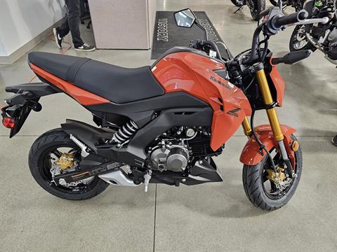 New 2025 Kawasaki Z125 Pro, Bettendorf IA | Specs, Price, Photos