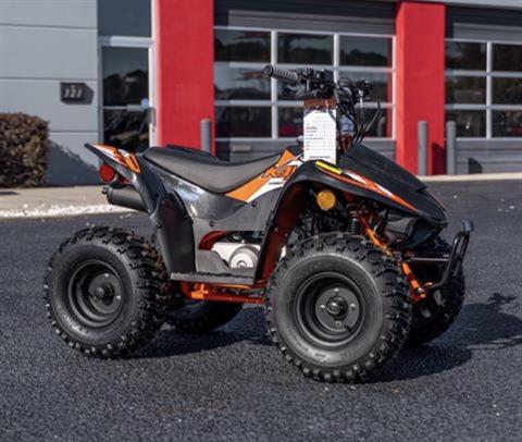 New 2026 Kayo Storm 70, Lexington SC | Specs, Price, Photos