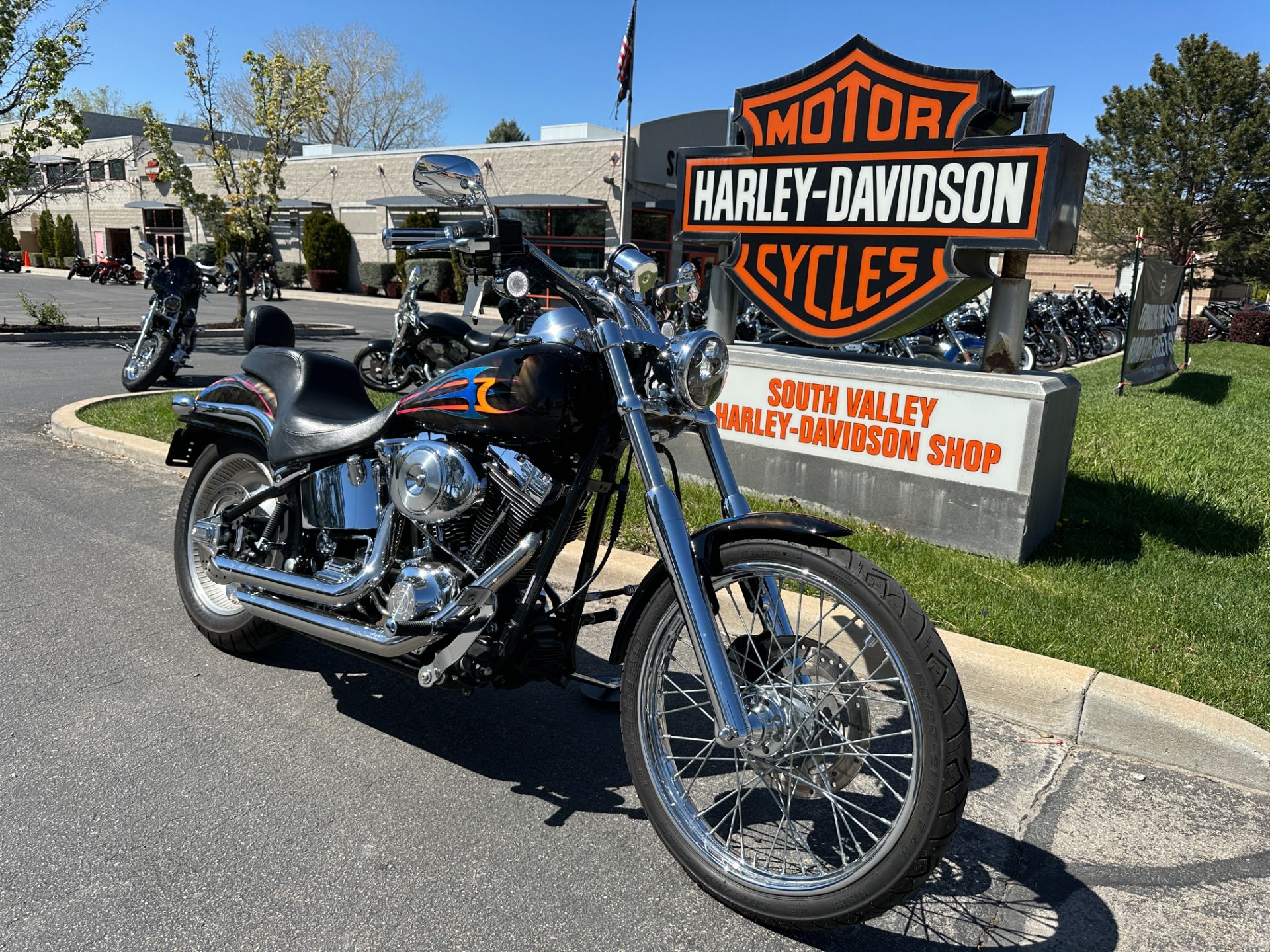 1996 harley davidson softail custom