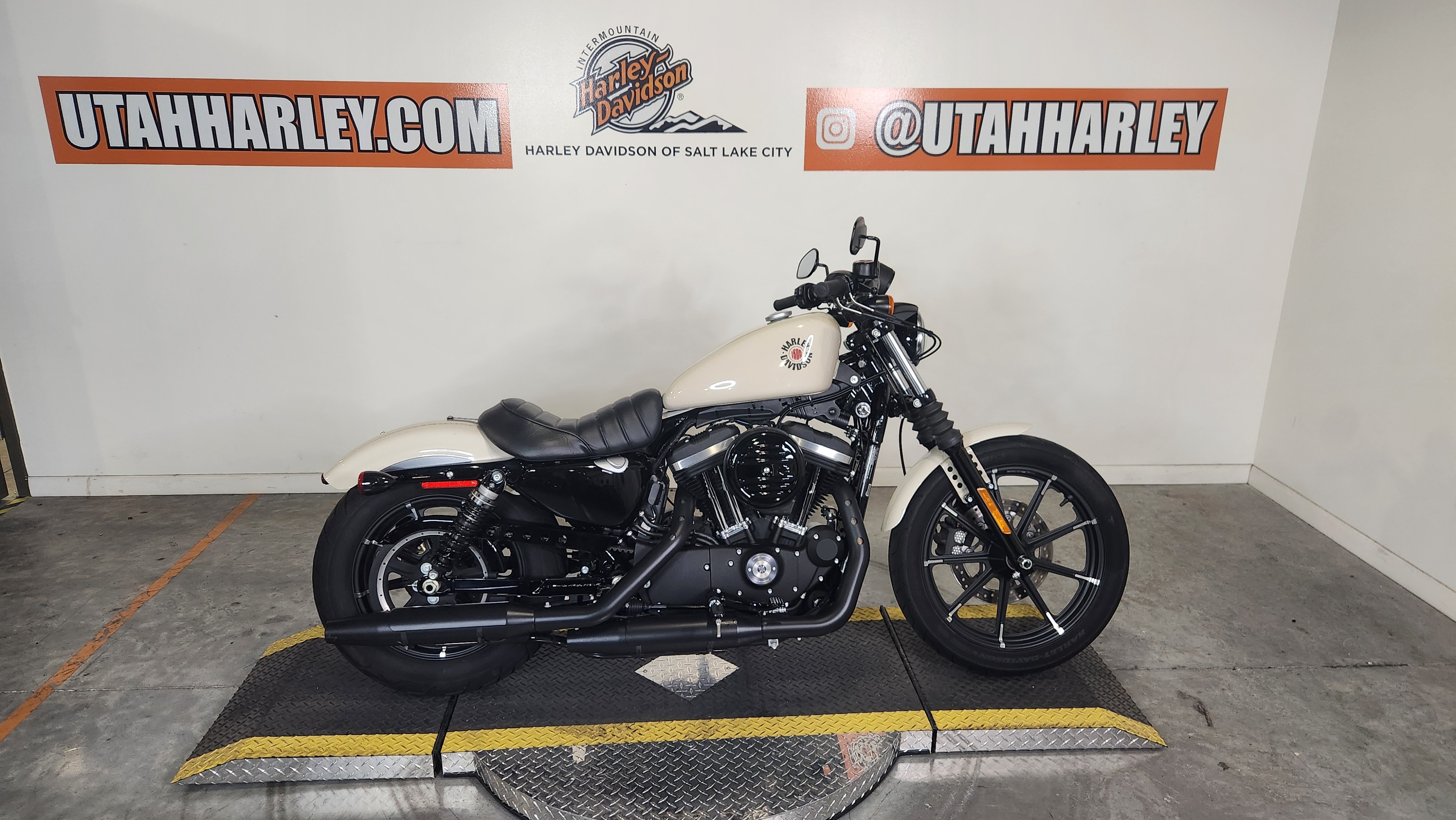 2022 Harley-Davidson Iron 883 for sale 1243482
