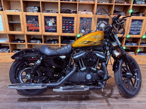 Used 2016 Harley-Davidson Iron 883™ Specs, Price, Photos Salt