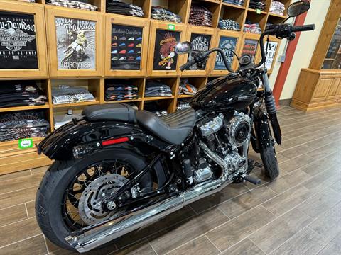 New 2025 Harley-Davidson Street Bob® Vivid Black with Cast