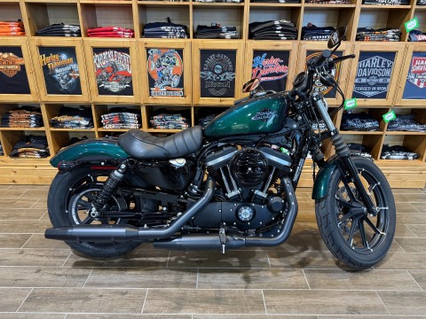 Used 2021 Harley-Davidson Iron 883™ Snake Venom | Motorcycles in