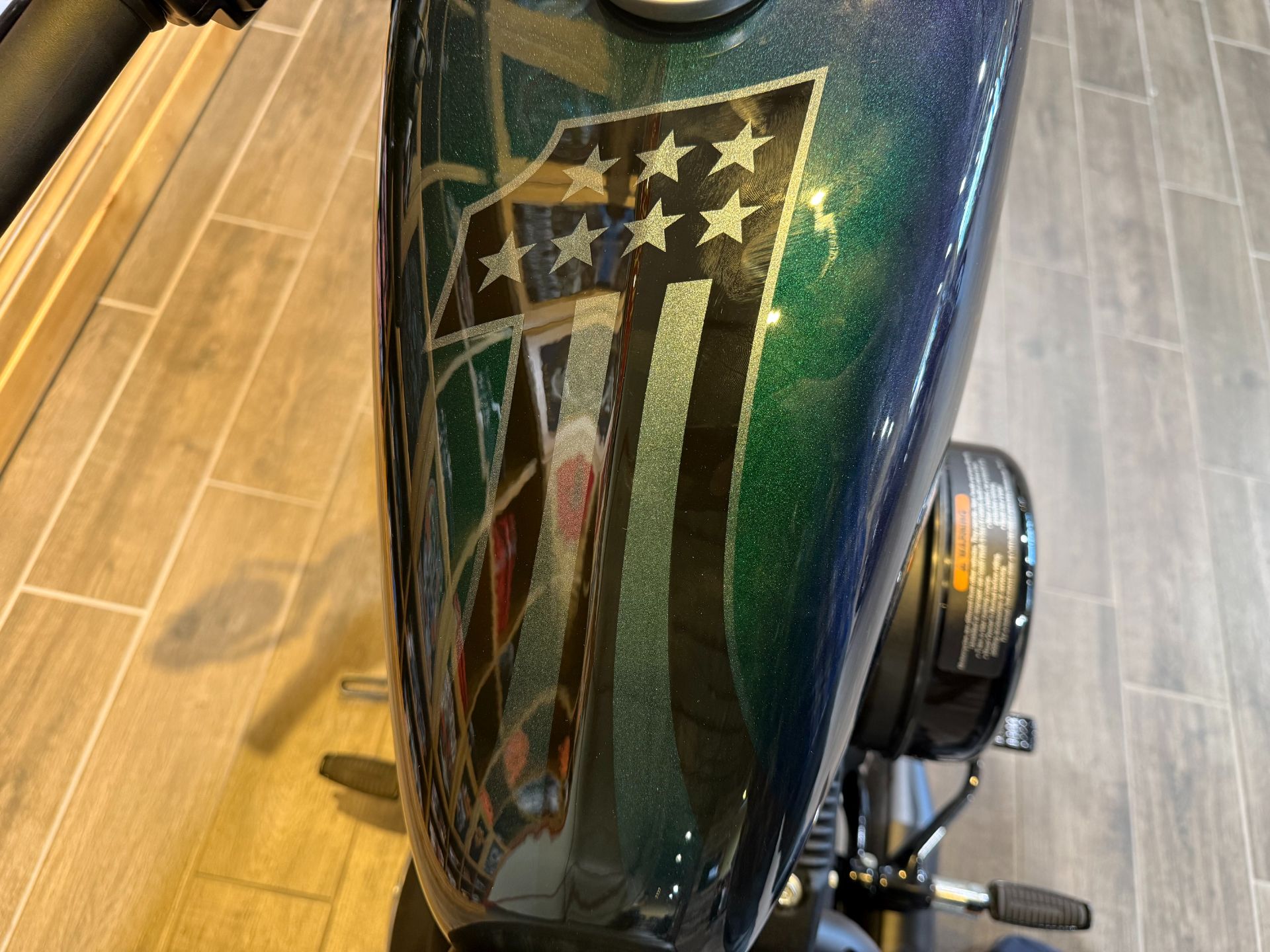 Used 2021 Harley-Davidson Iron 883™ Snake Venom | Motorcycles in