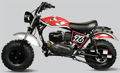 New 2025 TrailMaster HURRICANE 200 PRO, Odessa TX Specs, Price